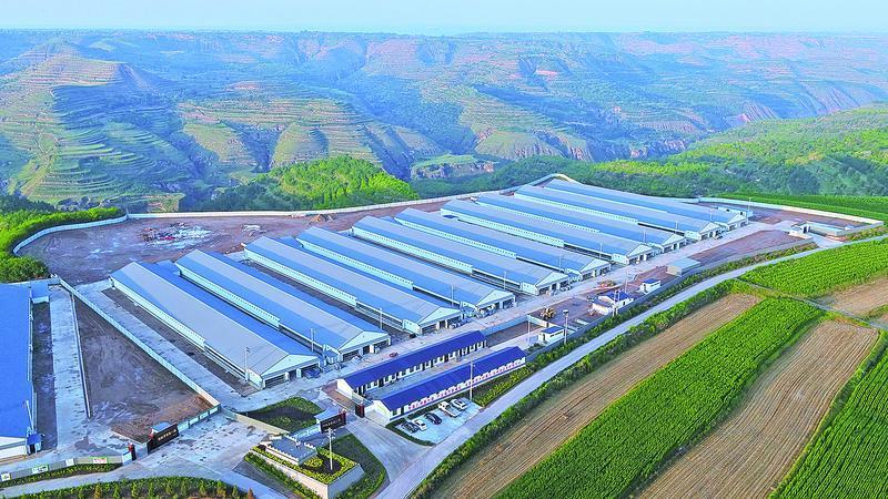 《隴東報》特刊·縣區(qū)觀察 | 鎮(zhèn)原：精準招商筑高地 優(yōu)化環(huán)境引鳳來