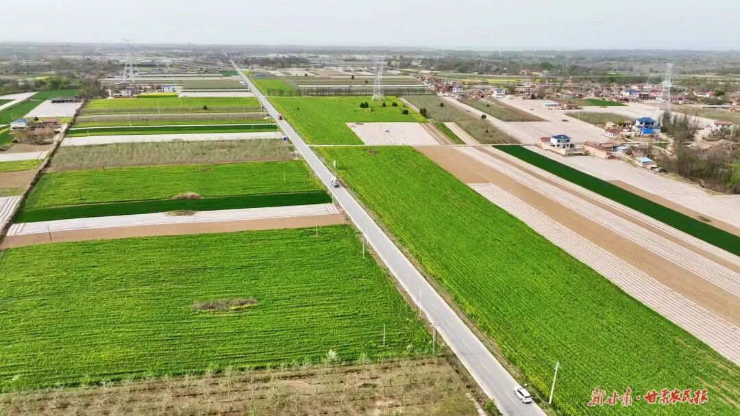鎮(zhèn)原：特色產(chǎn)業(yè)“多點(diǎn)開花”