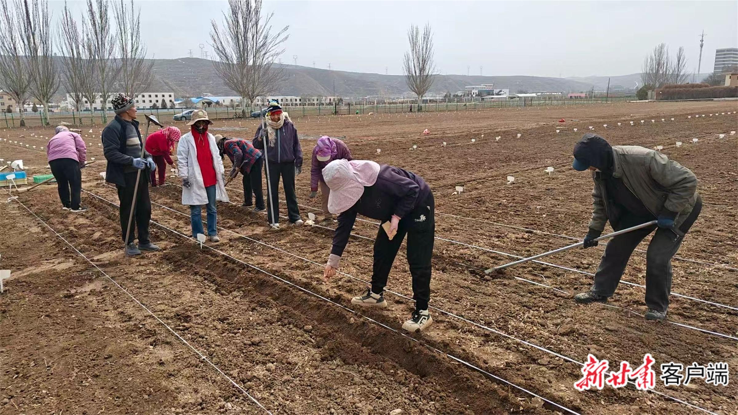 一粒種子的增收密碼