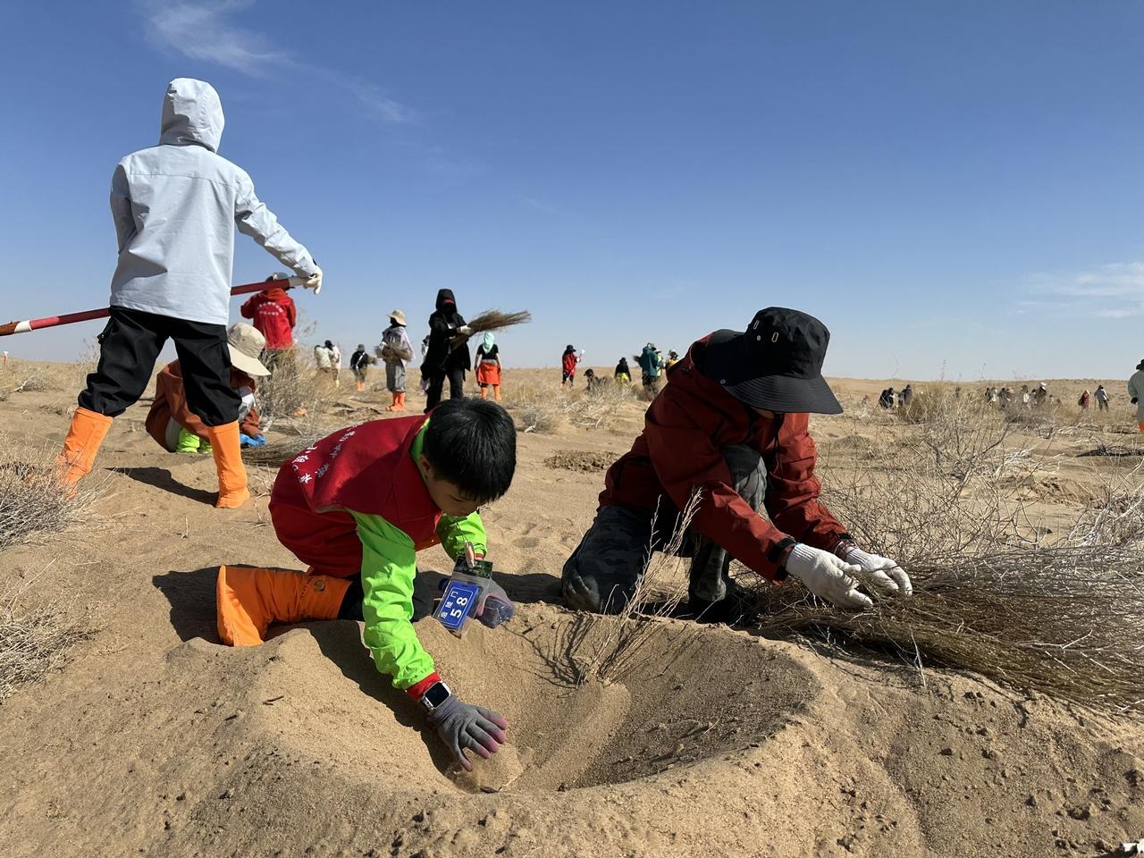 甘肅民勤：“浪漫星空”重塑“沙漠植樹”新范式